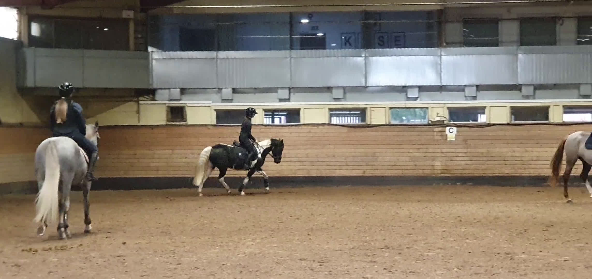 Hoppning hästar till salu: Stjärna till salu ⭐  i Kungsbacka - Video 4