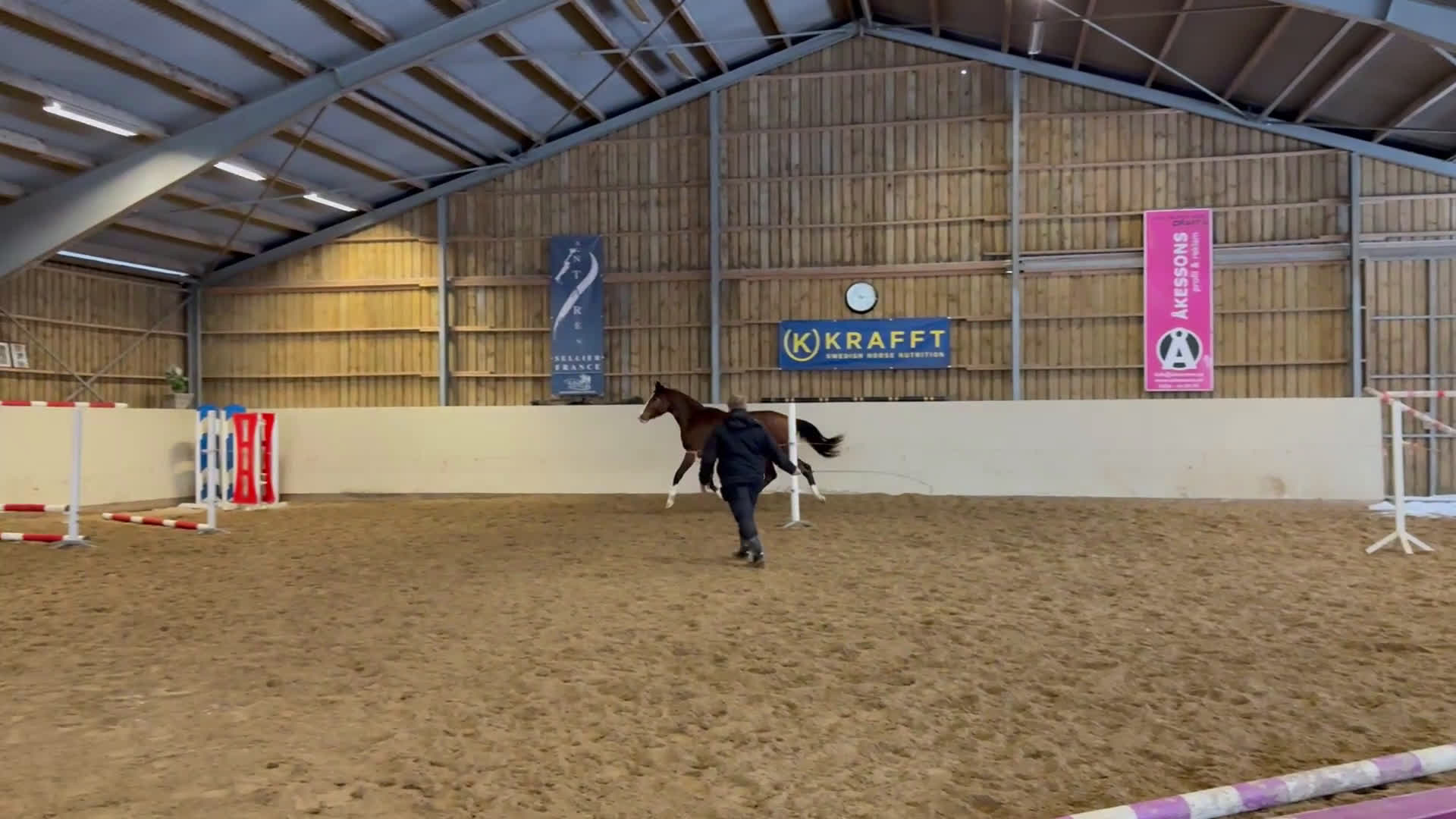 Hoppning hästar till salu: Fantastisk unghäst! i Sölvesborg - Video 2