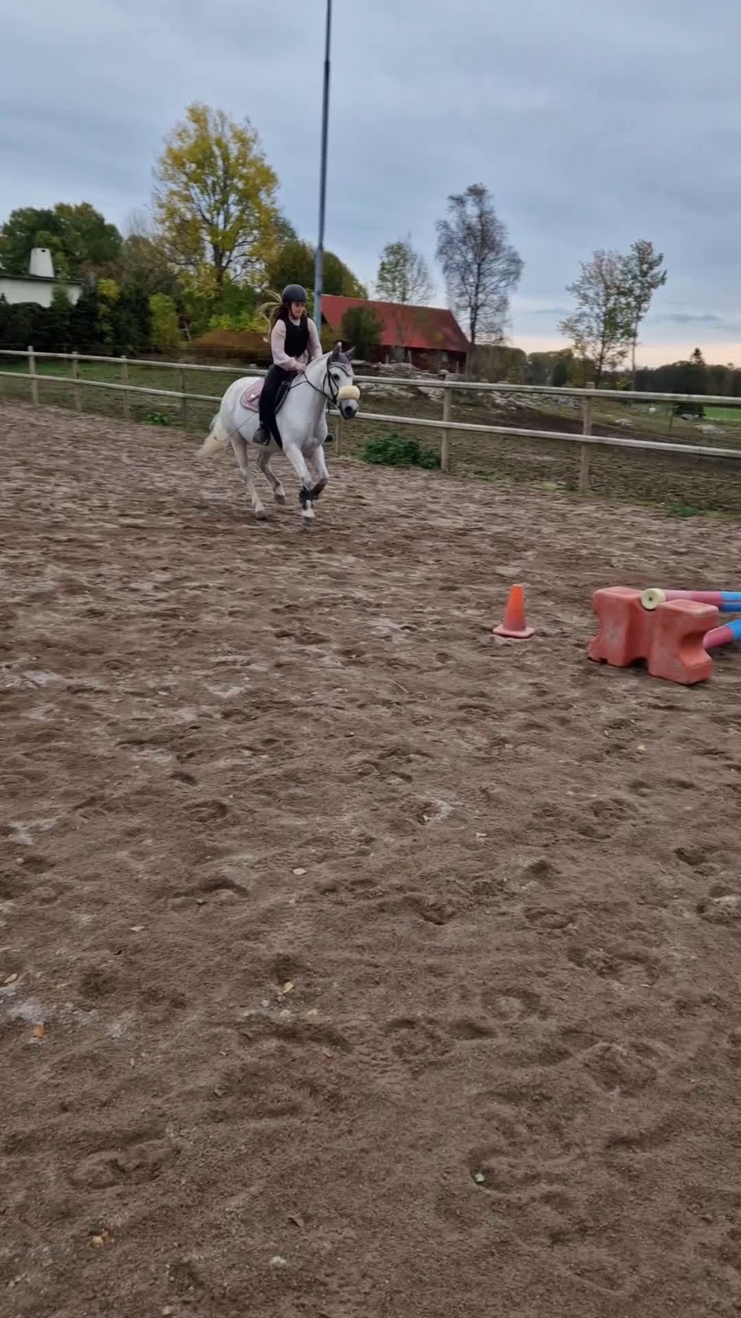 Allround hästar till salu: B ponny  i Åmål - Video 1