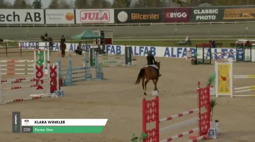 Hoppning hästar till salu: 6årigt sto med stort hopp! - Video 2