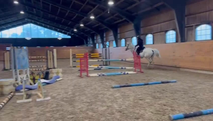 Hoppning hästar till salu: Sto -17 Hoppning 110/120. Perfekt Junior häst. - Video 2