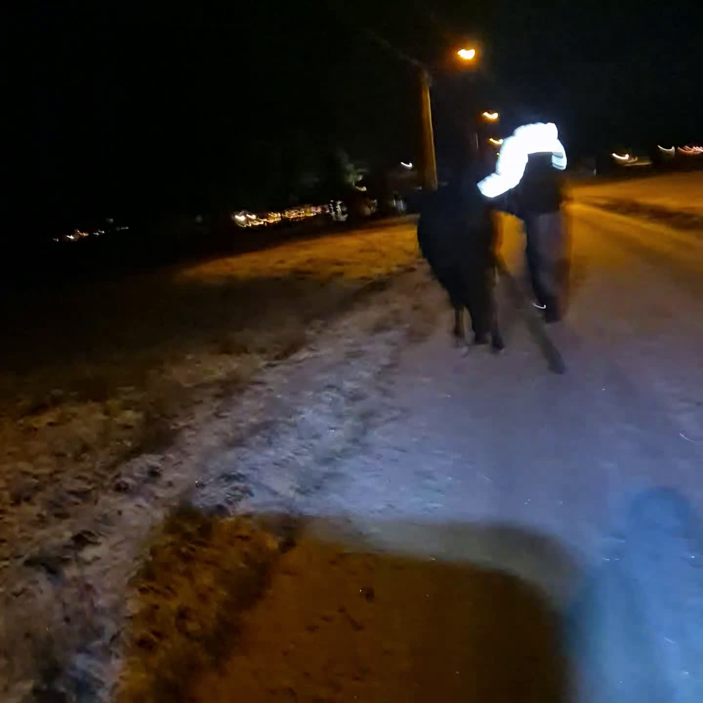 Allround hästar till salu: Underbart ungsto B-ponny i Bjästa - Video 3