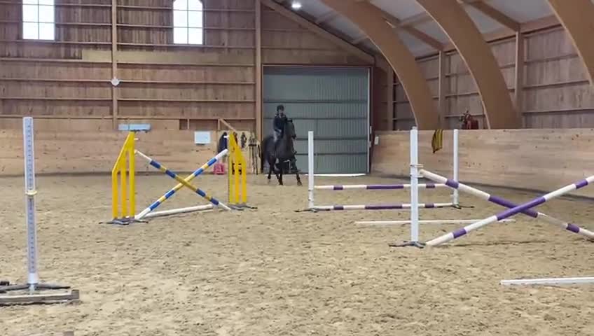 Hoppning hästar till salu: Toppstammad 5-åring - Video 1