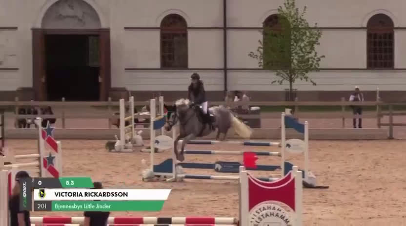 Hoppning hästar till salu: 🌟 Lilly – Tävlingsponny med LA + meriter  i Avesta - Video 1