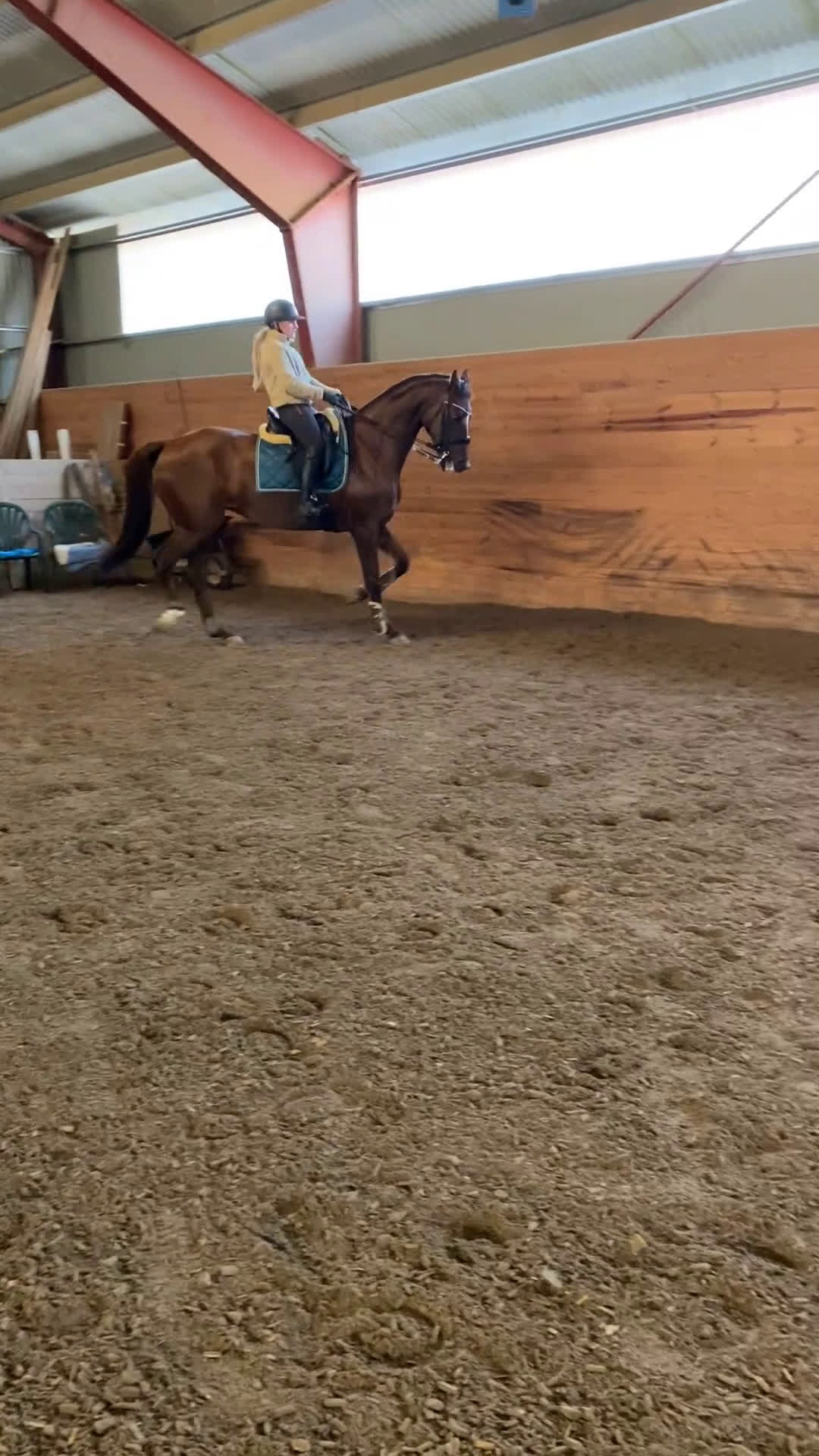 Dressyr hästar till salu: Fantastiskt sto med utstrålning i Södertälje - Video 2