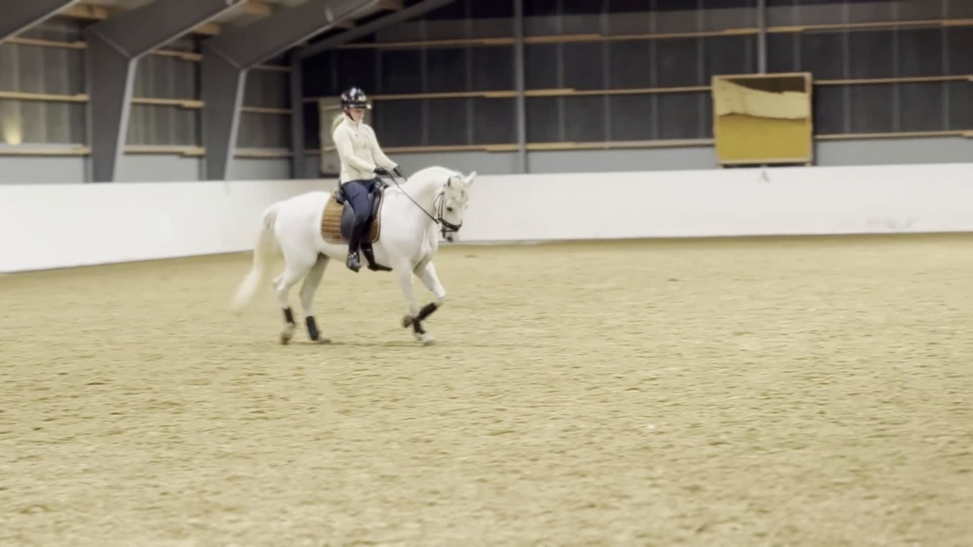 Dressyr hästar till salu: Sagolik dressyrponny i Lund - Video 3