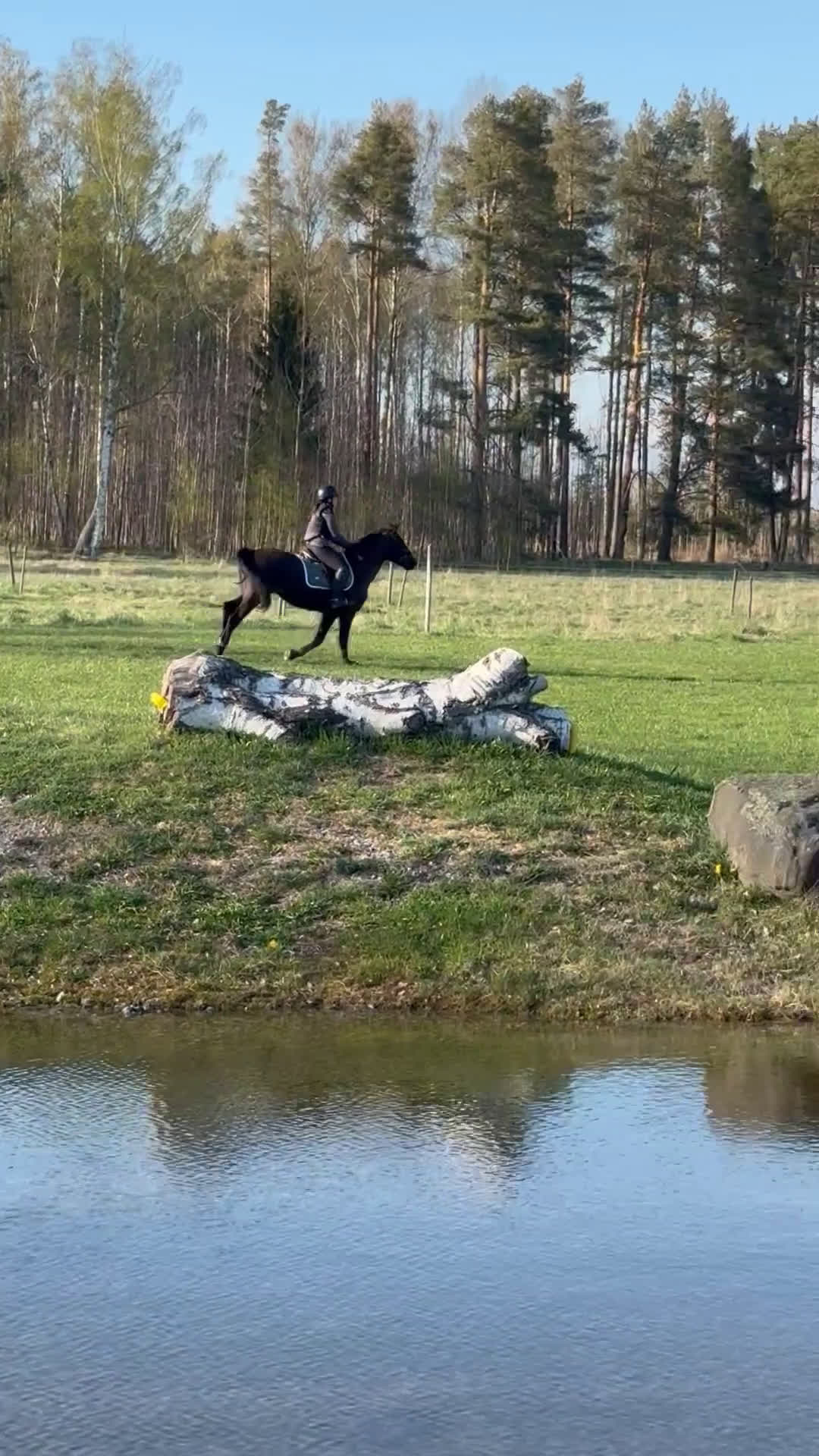Allround hästar till salu: Världens snällaste ponny säljes💕 i Sköllersta - Video 1