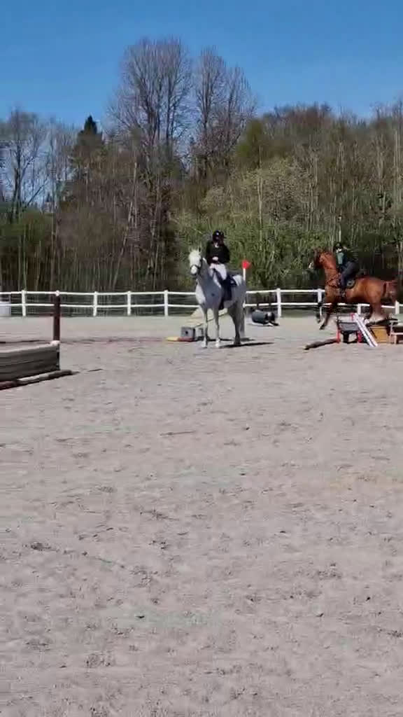Allround hästar till salu: En bästa vän att ha roligt med! i Karlstad - Video 2