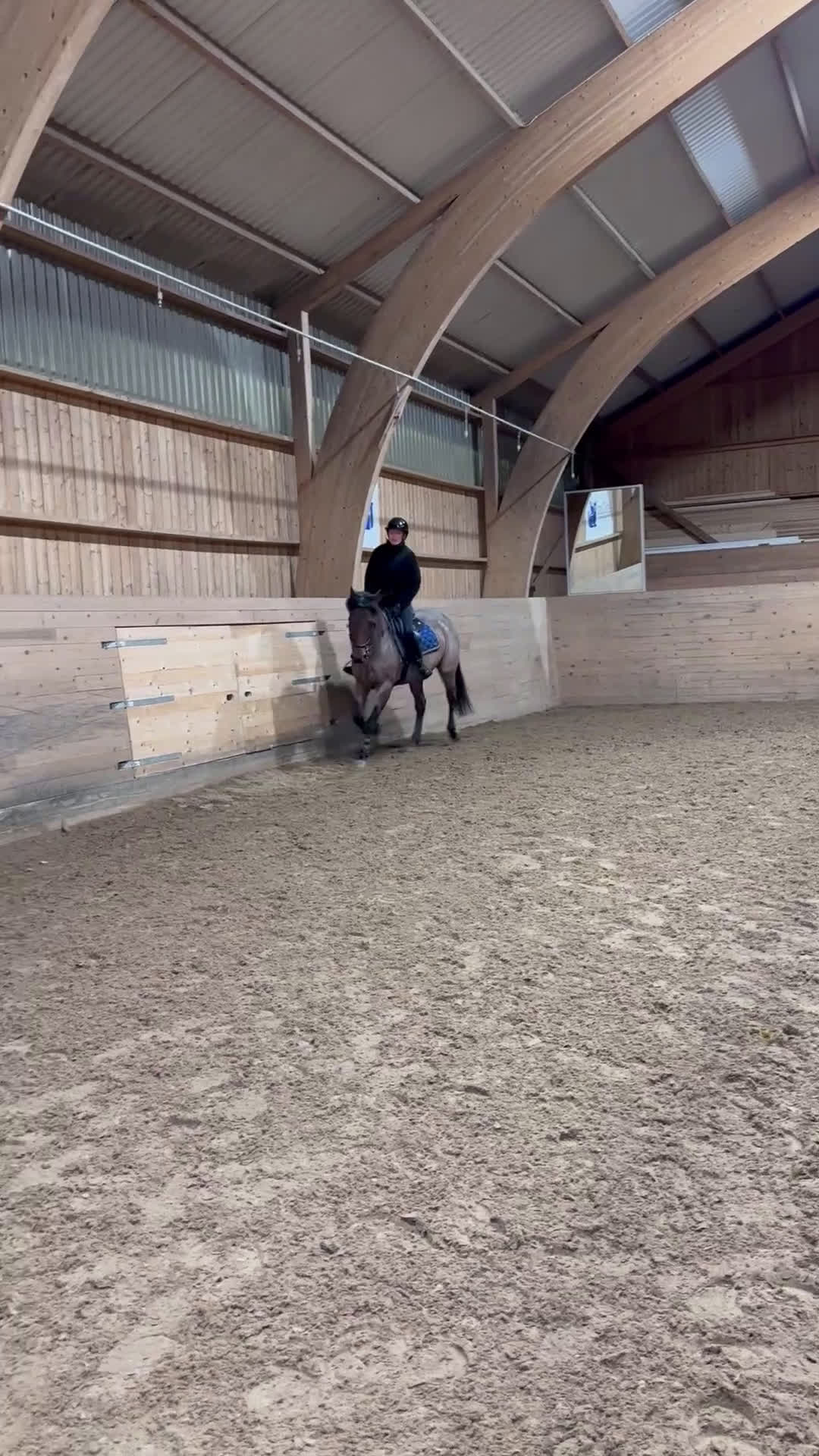 Allround hästar till salu: Allround ponny i Västra Frölunda - Video 2