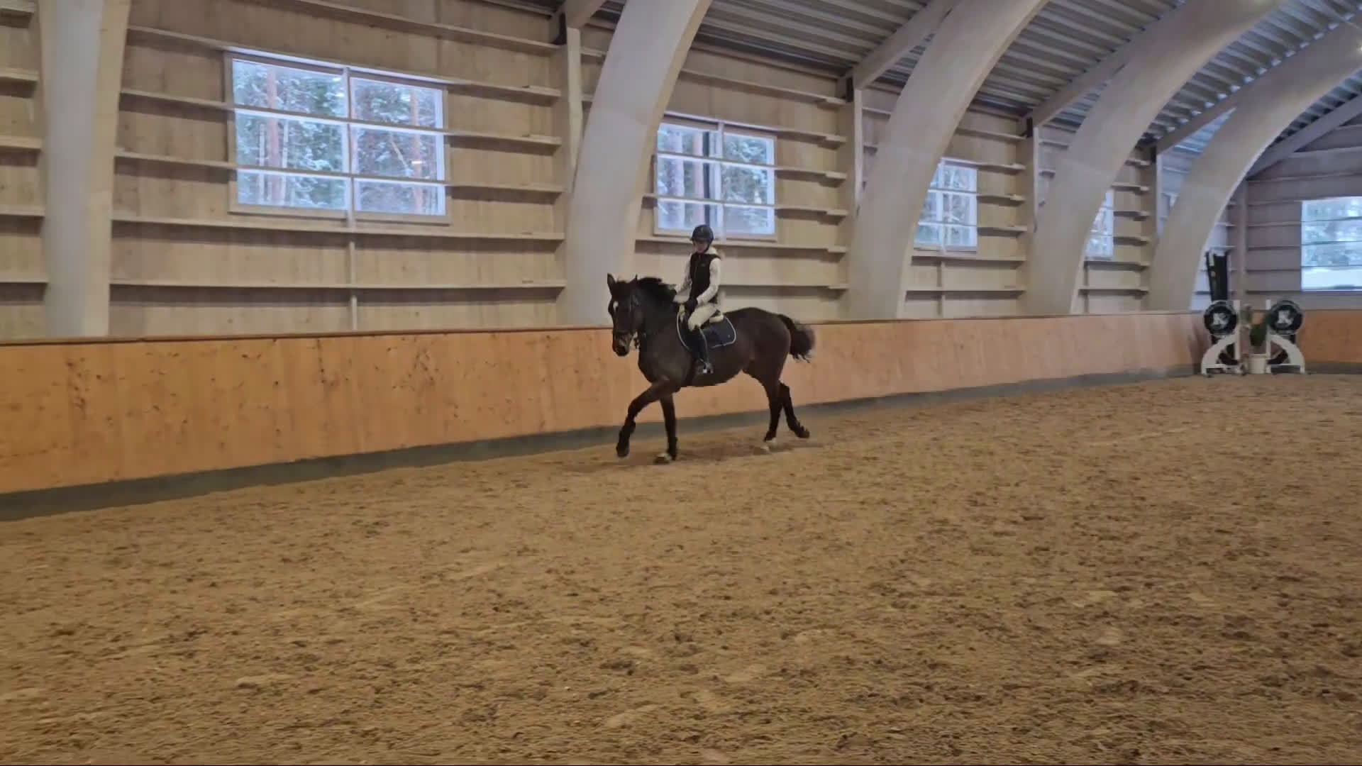 Hoppning hästar till salu: Vacker tjej med glimten i ögat. - Video 1