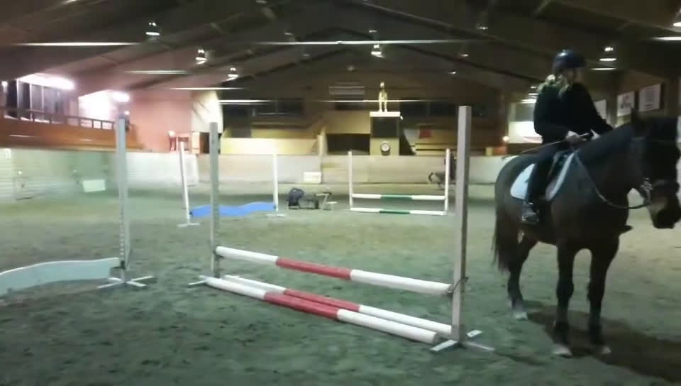 Hoppning hästar till salu: BLACK FRIDAY!! Snygg c-ponny nu för 60 000 i Matfors - Video 2