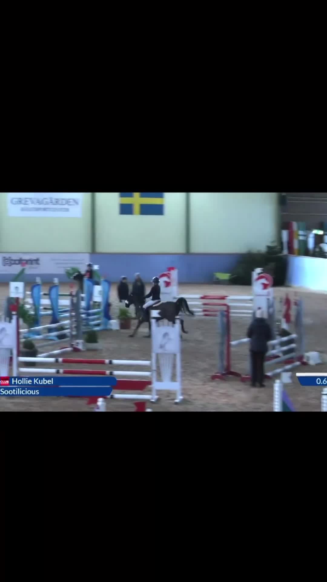 Hoppning hästar till salu: Maxad B ponny  - Video 3