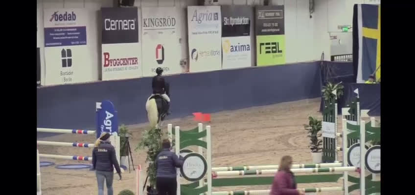 Hoppning hästar till salu: Stjärna till salu ⭐  i Kungsbacka - Video 1
