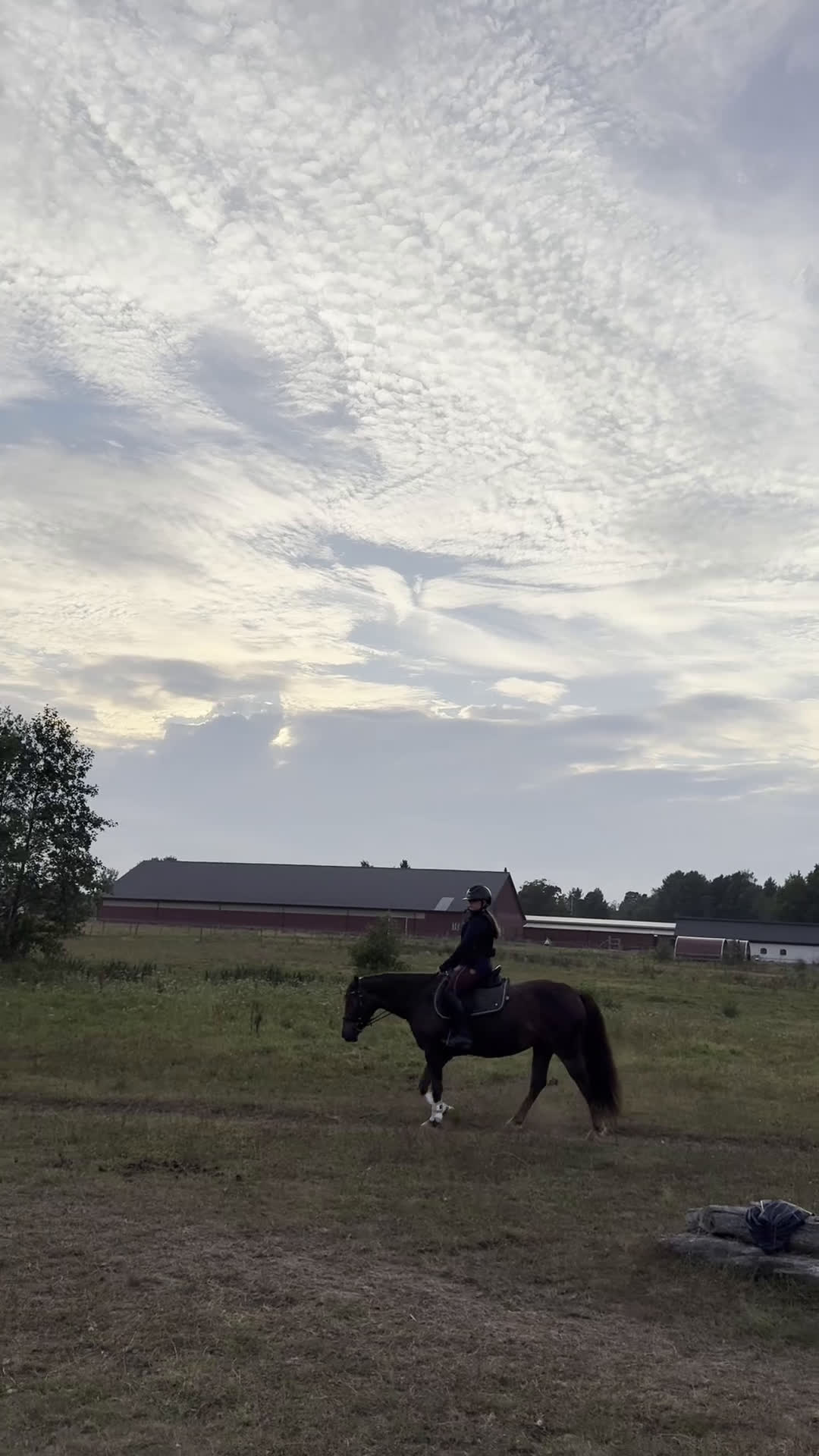 Allround hästar till salu: Ljuvligt fux-sto - en riktig prinsessa! D-ponny i Tidaholm - Video 3