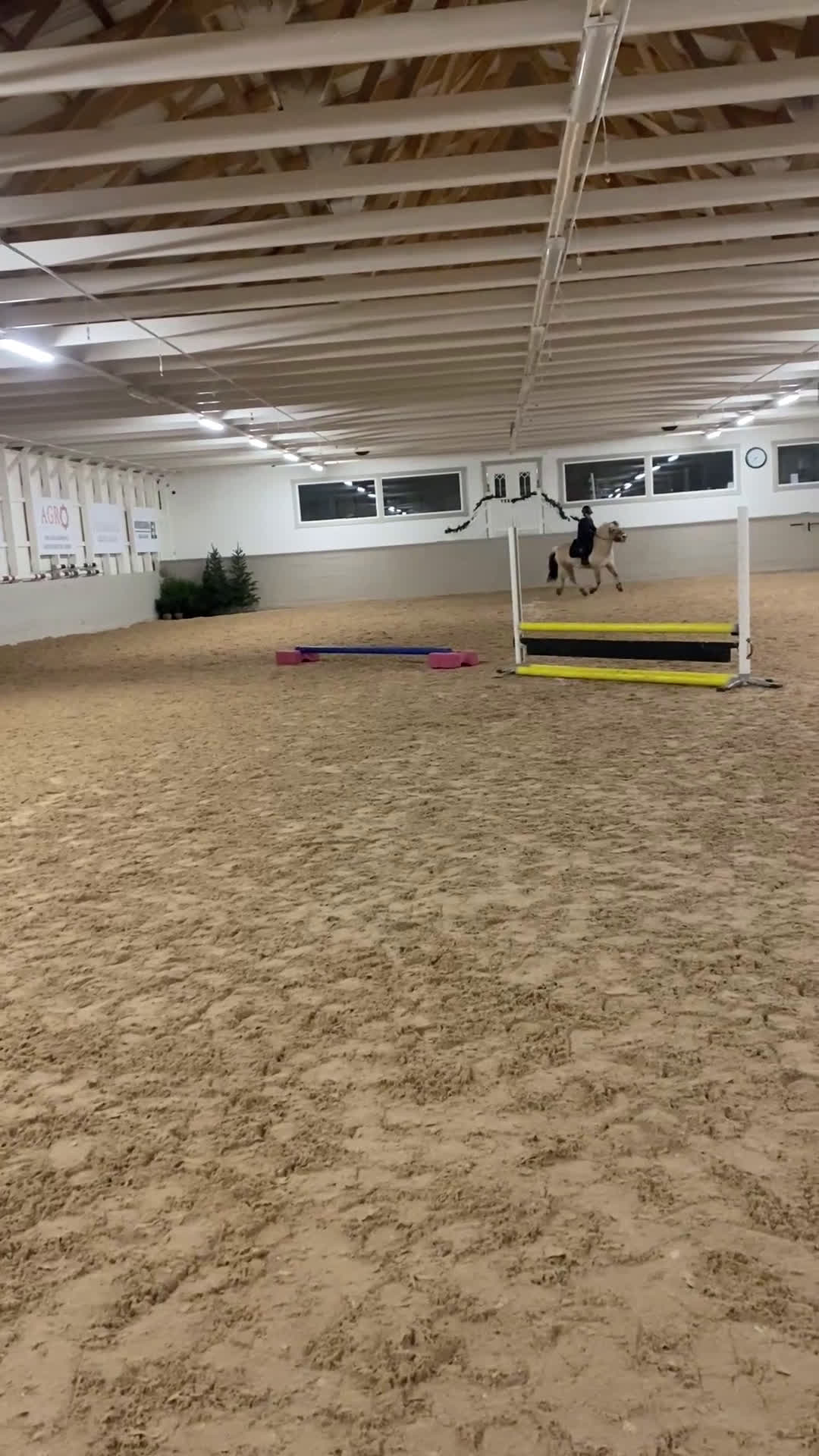 Hoppning hästar till salu: Fjordhäst  i Jönköping - Video 1