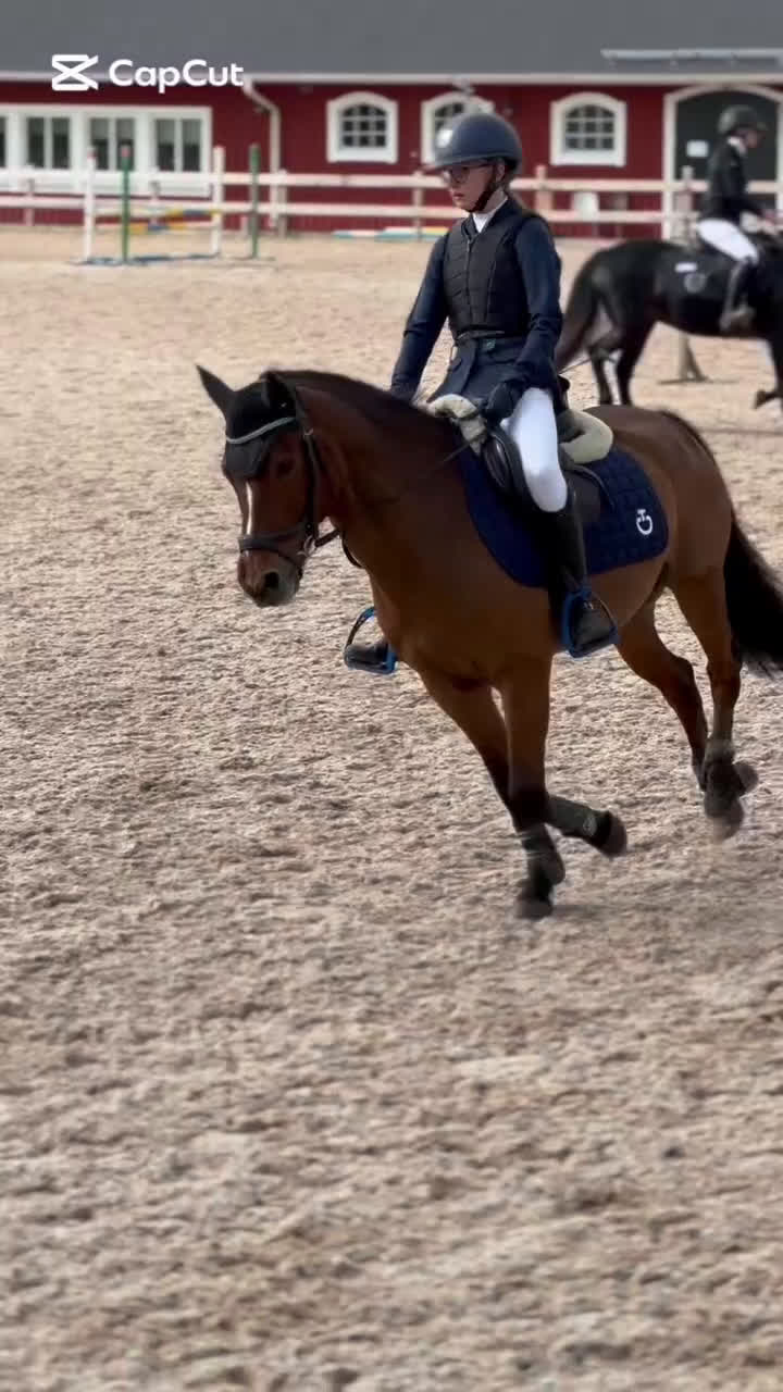 Allround hästar till salu: Fin allroundponny i Rydaholm - Video 1