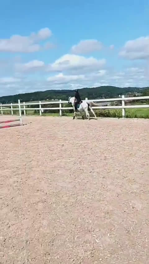 Allround hästar till salu: Världens mysigaate ponny ej igång.  - Video 1