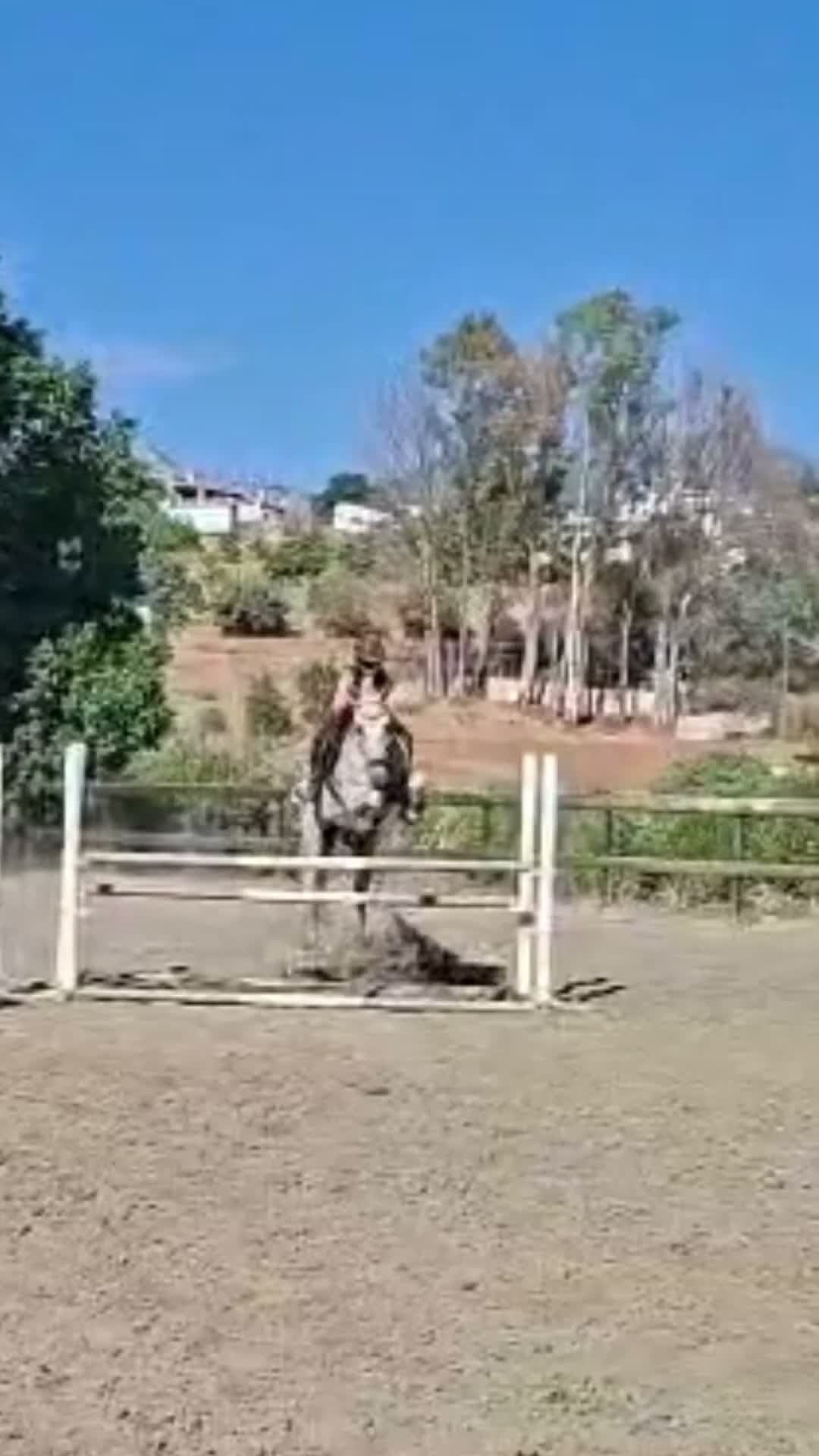 Allround hästar till salu: PRE Cruzado med stort hjärta sökersitt perfektahem i Mijas - Video 1
