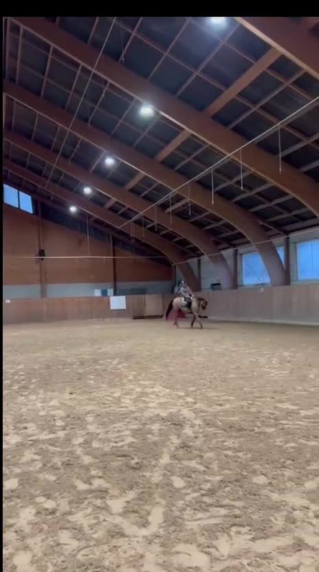 Allround hästar till salu: Trevligt rutinerat selektionsto, säljes el. Bytes - Video 1