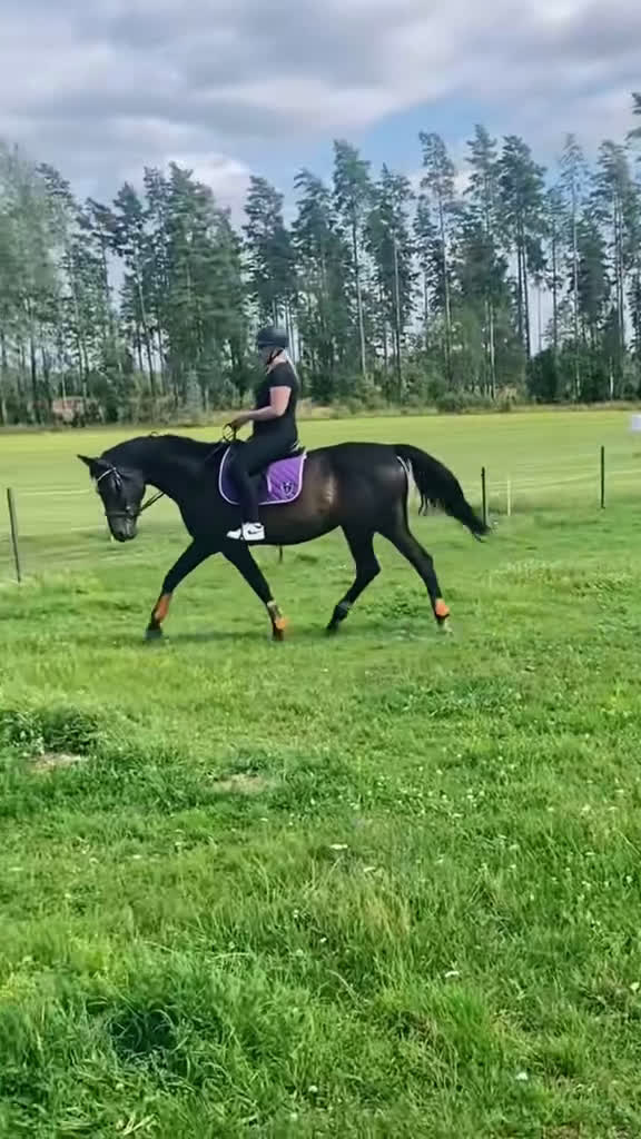 Allround hästar sökes: Bästavän sökes🥰 i Jönköping - Video 3