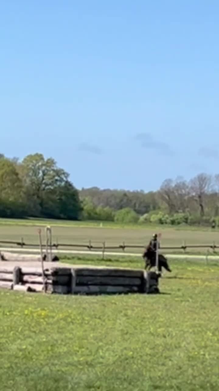 Hoppning hästar till salu: Fantastisk shettis - Video 3