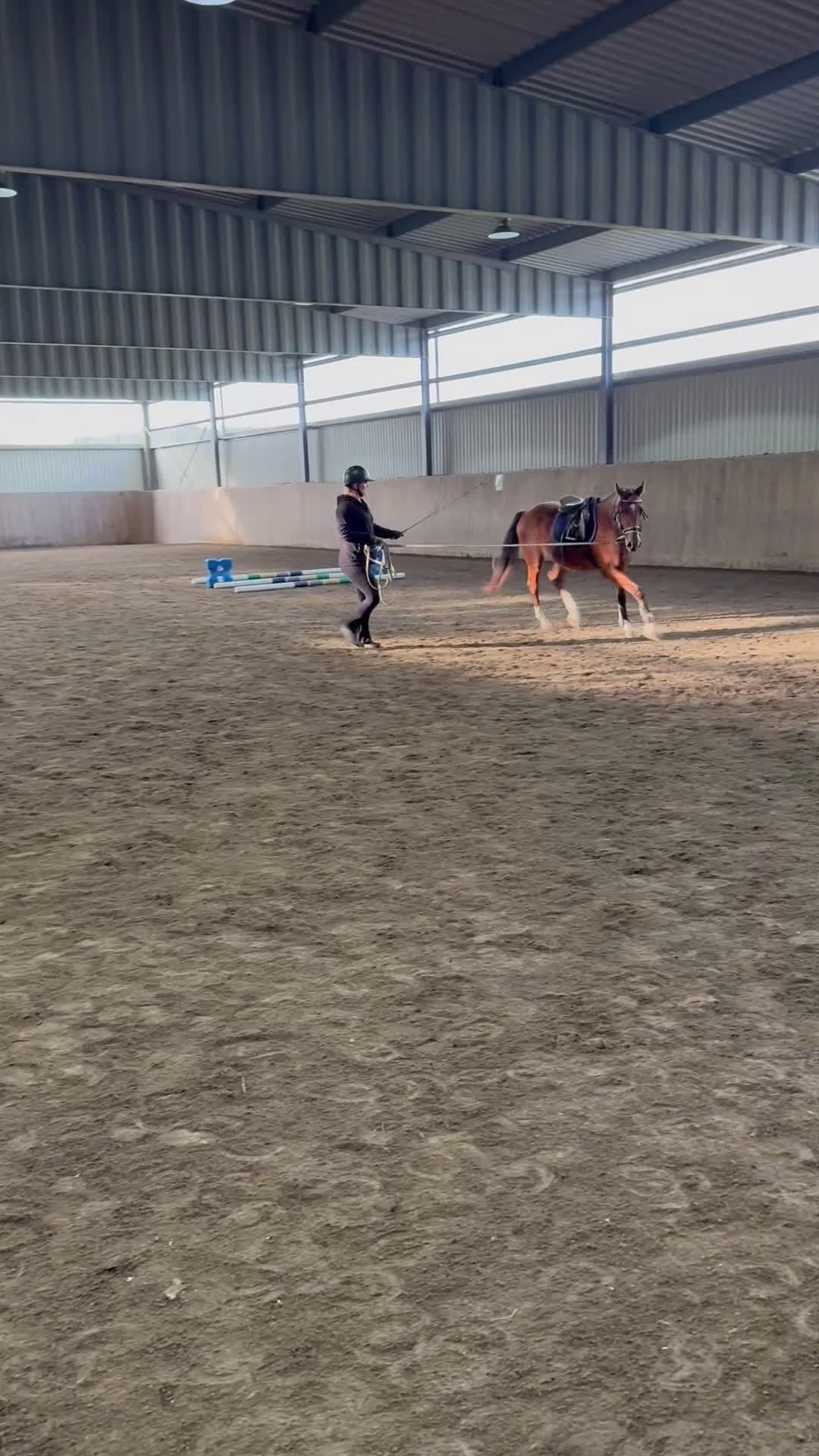 Hoppning hästar till salu: Lovande unghäst för framtiden! i Hällevadsholm - Video 3