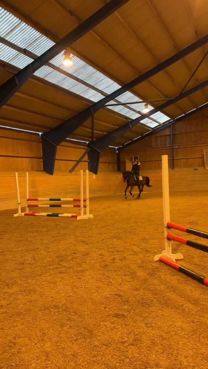 Allround hästar till salu: Trevlig Valack  i Nora - Video 4