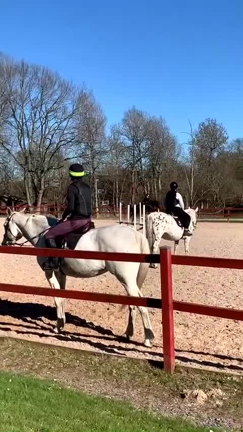 Allround hästar sökes: Medryttarhäst/foderhäst sökes 🌟 i Nättraby - Video 1