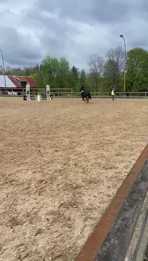 Hoppning hästar till salu: Fantastisk Läromästare  i Sävsjö - Video 4