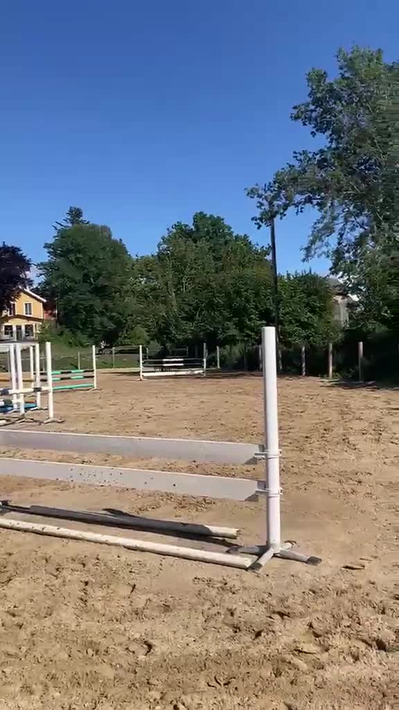 Hoppning hästar till salu: Vackert hoppsto d-ponny 148 cm född-17 i Hemse - Video 2