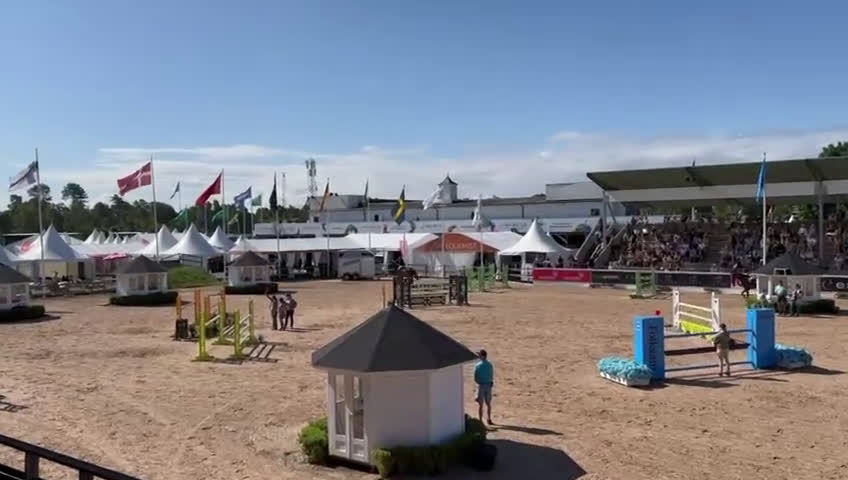 Hoppning hästar till salu: LG’s Bad Bunny  i Växjö - Video 3