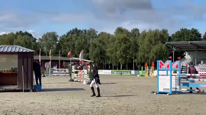 Hoppning hästar till salu: Talangfull Fälttävlanshäst med Kapacitet  i Harlösa - Video 4