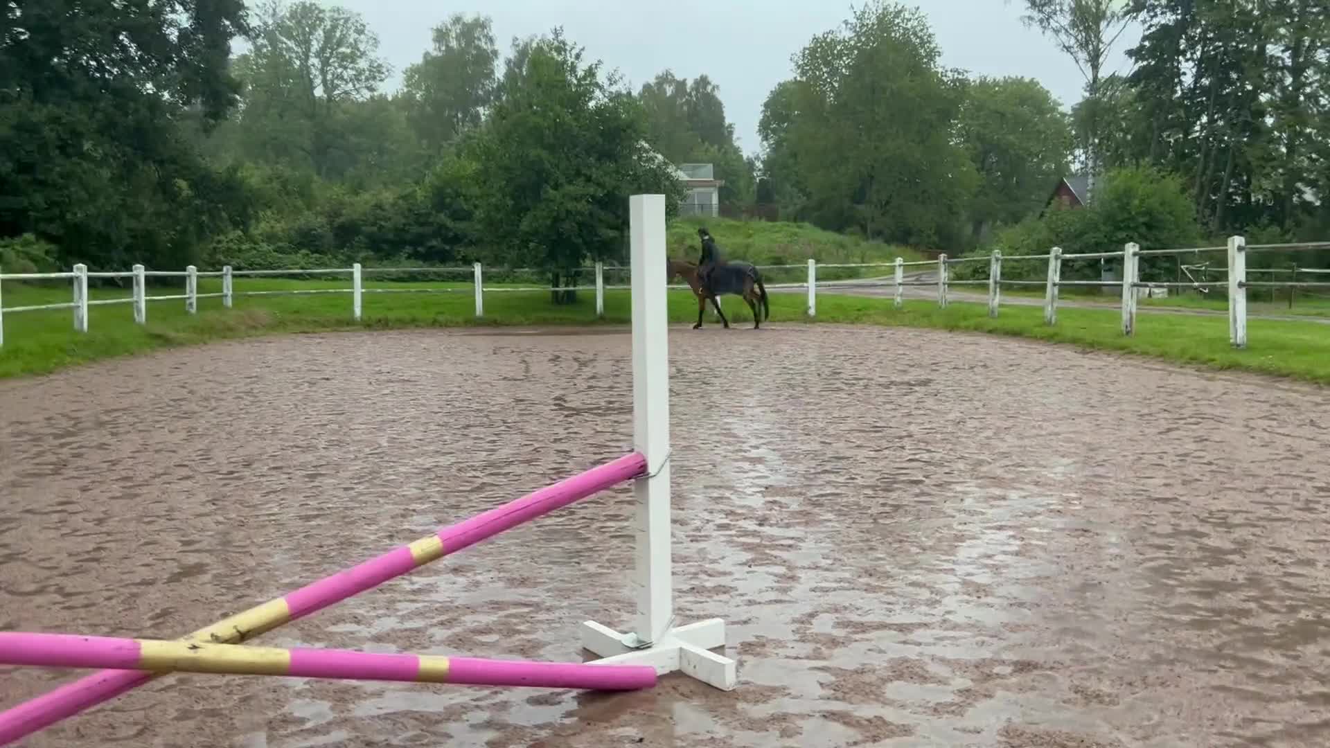 Allround hästar till salu: Projekt till salu - Video 1