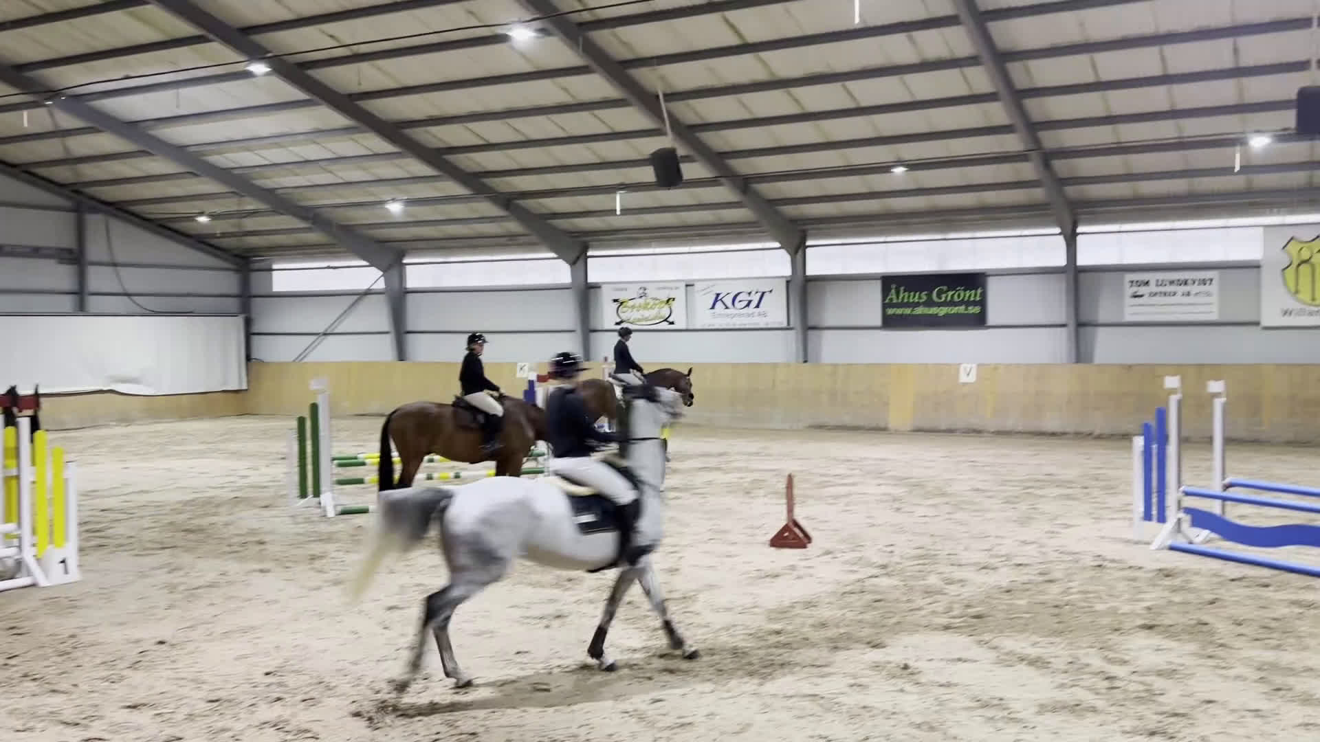 Hoppning hästar till salu: Sto med power för hopp eller fälttävlan - Video 1