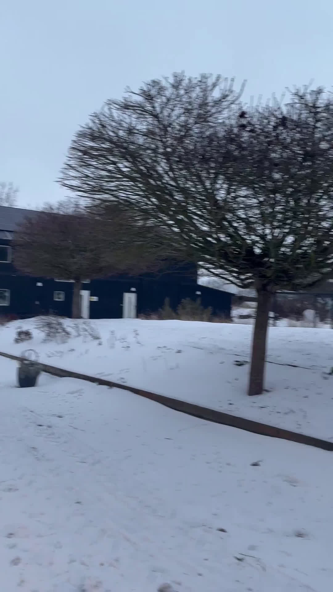  stallplats finnes: Box och lägenhet uthyres - Video 1