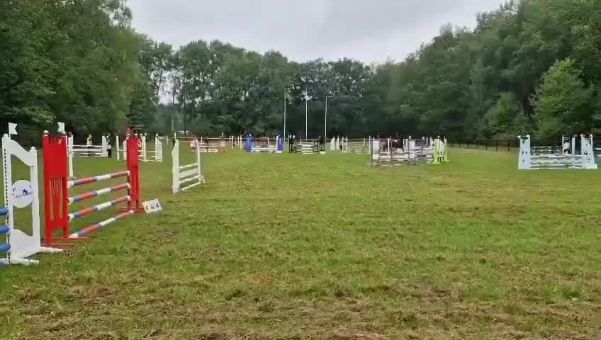 Allround hästar till salu: Häftigt Sto - Video 2