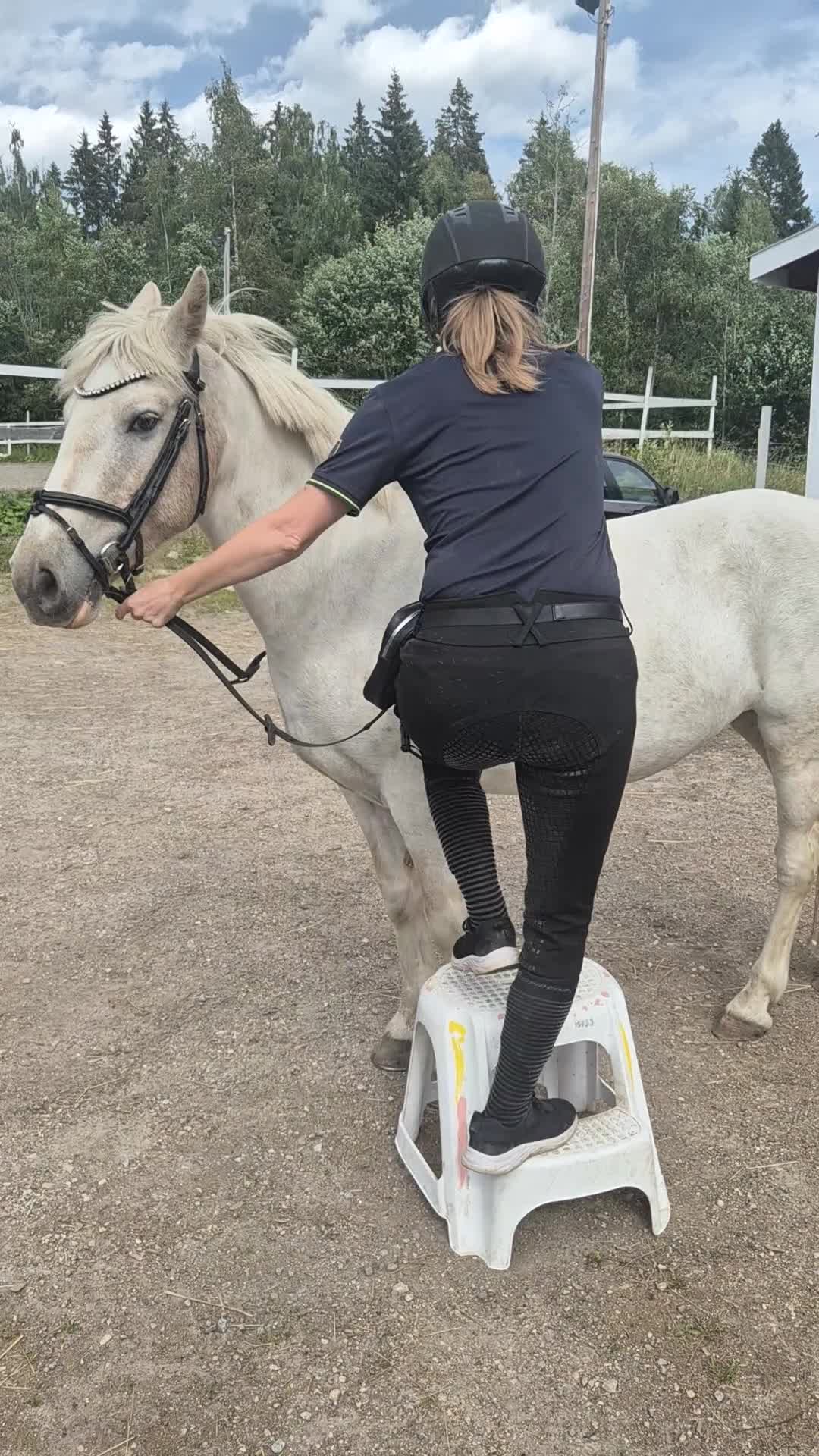 Allround hästar till salu: Maxad B-ponny i Jättendal - Video 5