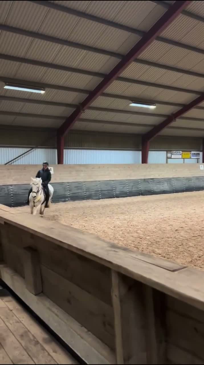 Allround hästar till salu: ✨En riktig läromästare och bästa kompis✨ - Video 1