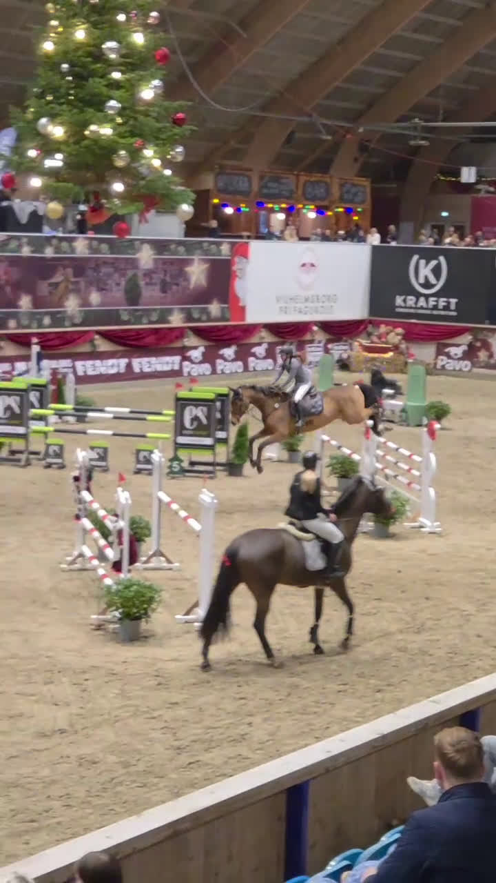 Hoppning hästar till salu: Kvalitetshest - Video 2