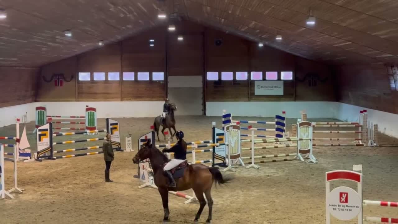 Hoppning hästar till salu: Hopphäst läromästare vurderes solgt - Video 2