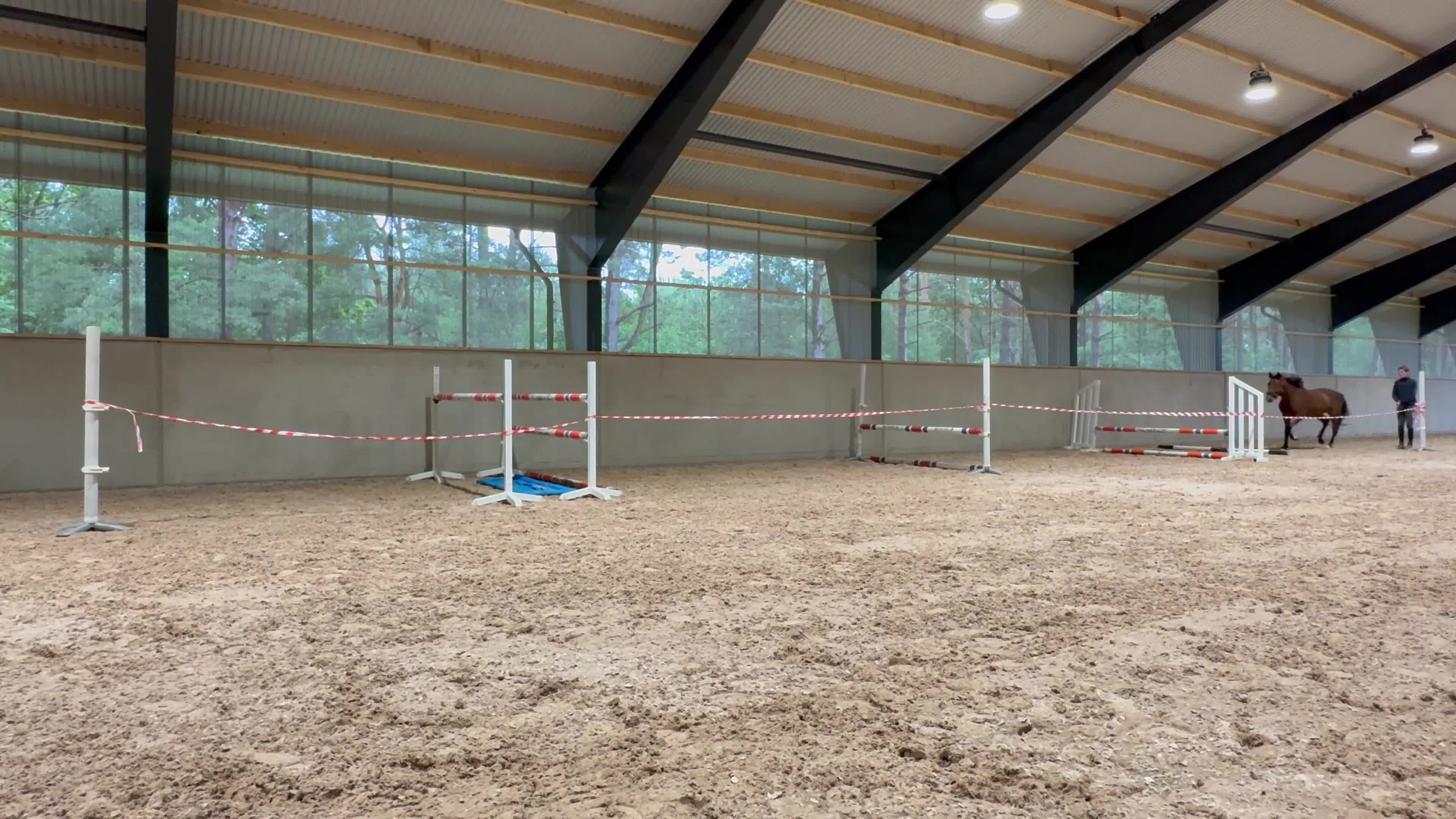Hoppning hästar till salu: Talangfull 4 åring - Video 1