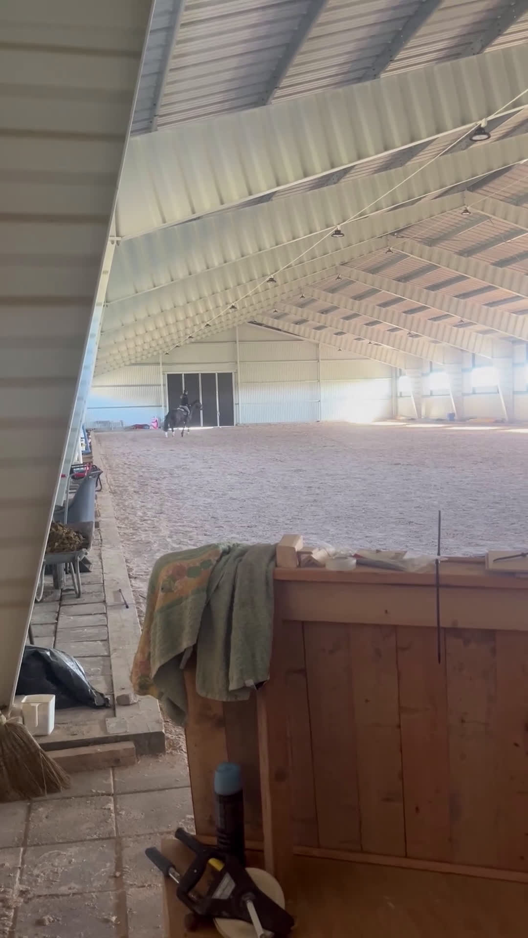 Allround hästar till salu: Lovande unghäst i Ålberga - Video 3