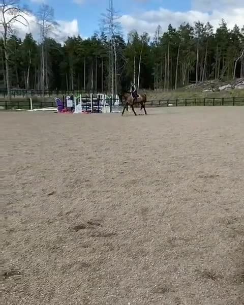 medryttarhäst sökes: Medryttarhäst sökes i Nyköping  i Nyköping - Video 3