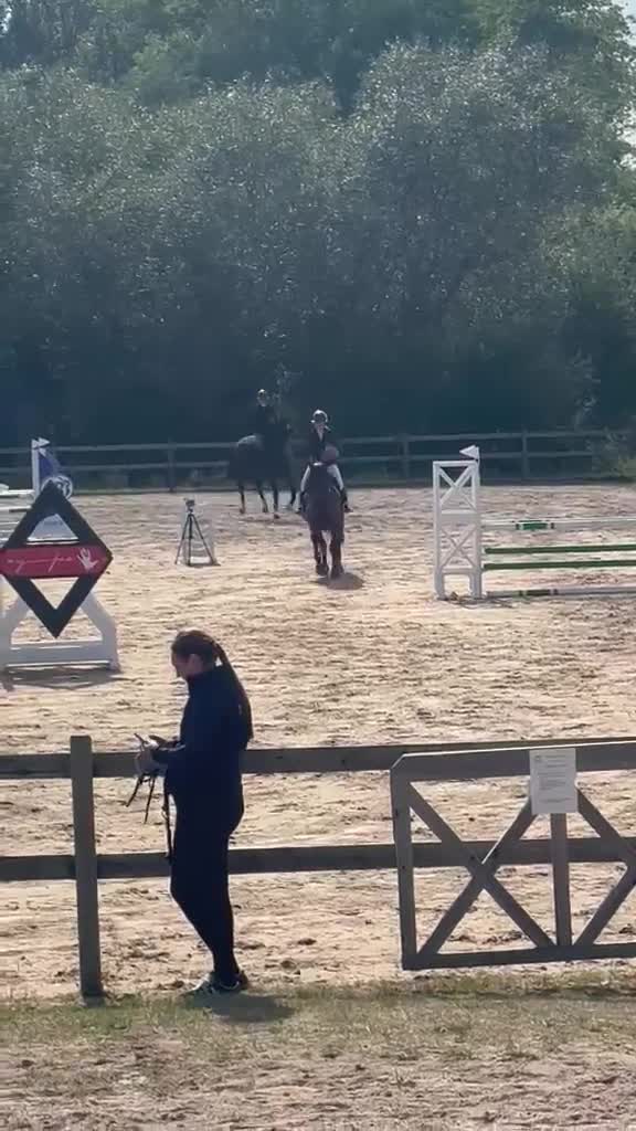 Allround hästar till salu: Underbart sto!  - Video 3