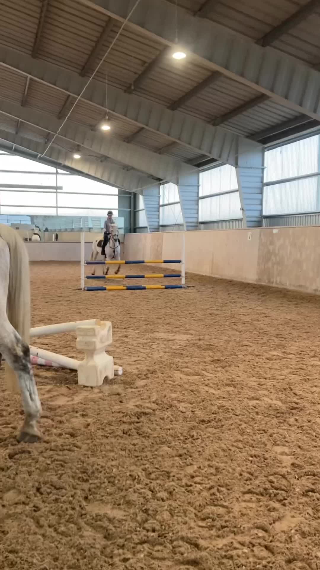 Dressyr hästar till salu: Läromästare och tävlingskompis 💕 - Video 3