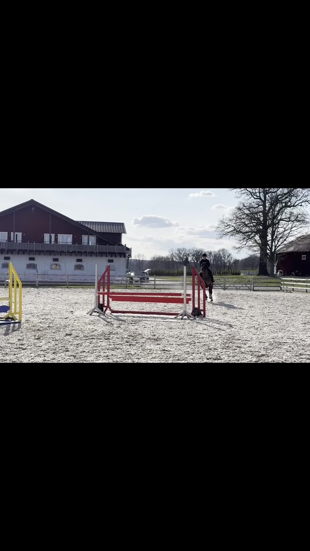 Hoppning hästar till salu: Talangfull 5-åring - Video 1