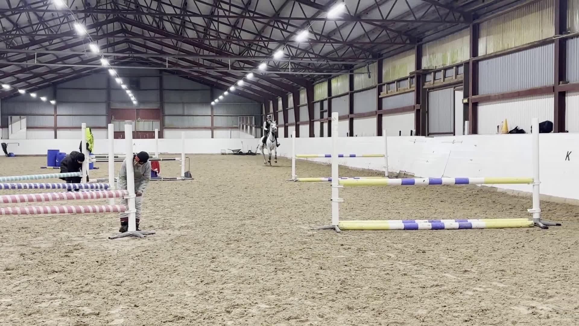 Hoppning hästar till salu: Sto med power för hopp eller fälttävlan - Video 2