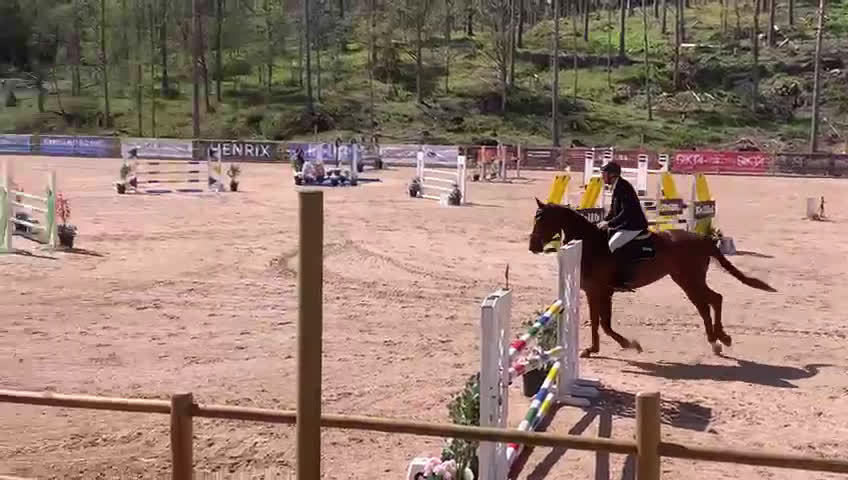 Hoppning hästar till salu: Sto med mycket scoope! i Tingsryd - Video 1