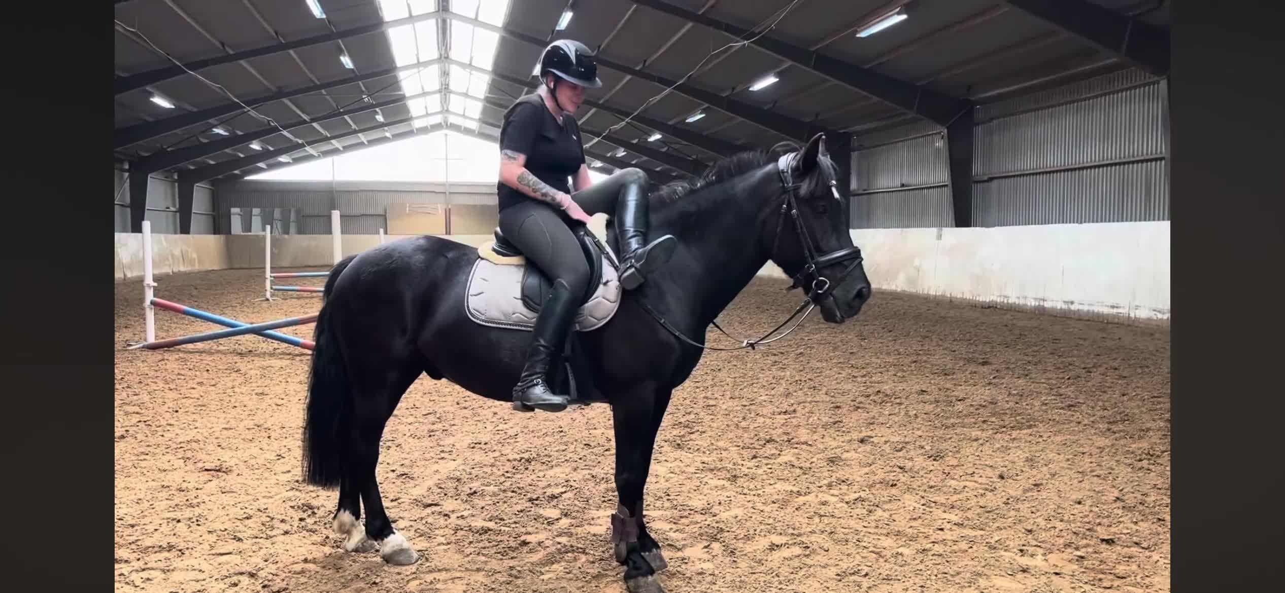 Allround hästar till salu: Skogsmulle till fyndpris ⭐️ i Ekeby - Video 5