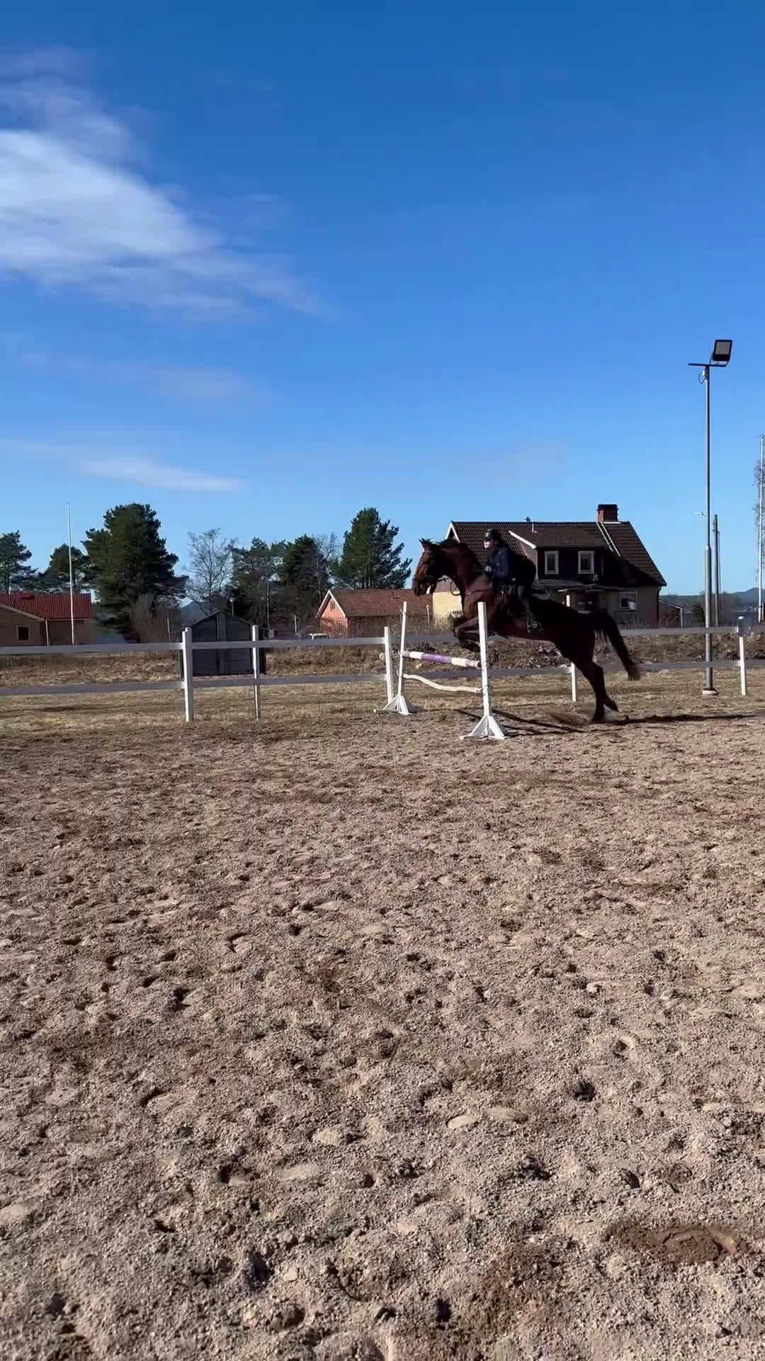 Allround hästar till salu: Din nya bästa vän  i Mora - Video 4